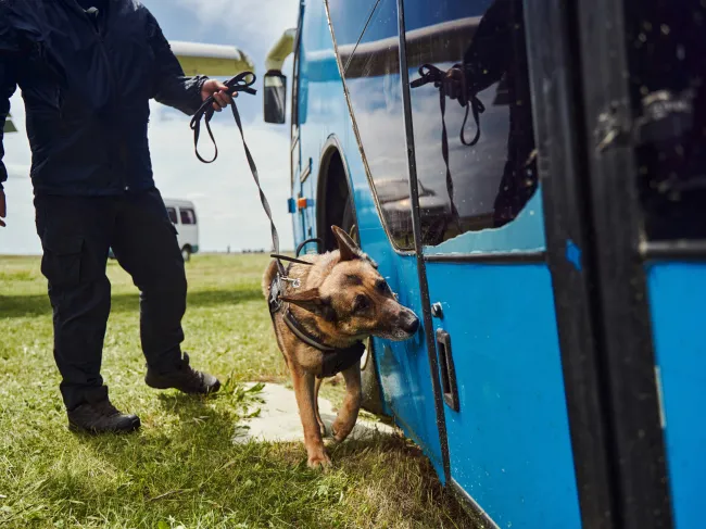 drug dog and policeman